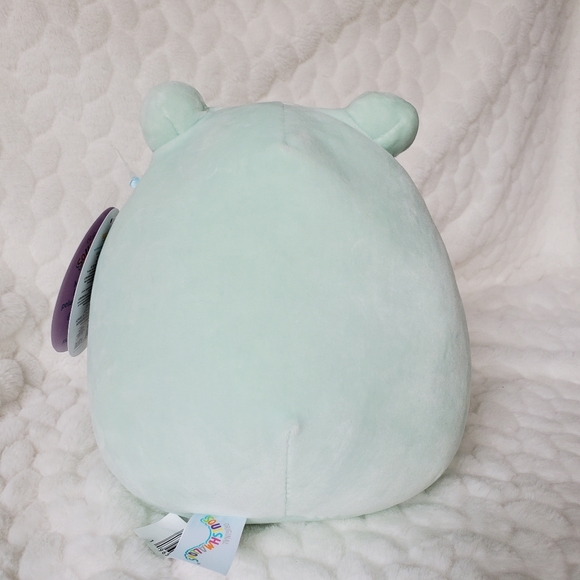 Fritz the Frog with Flower Belly Squishmallows BNWT 8 Inch - Picture 3 of 6